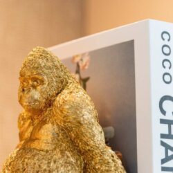 Boekenstandaards Donky gold