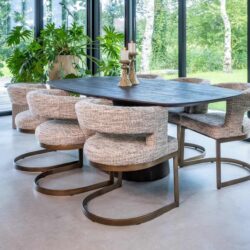 Eetkamerstoel Ellis trendy nature