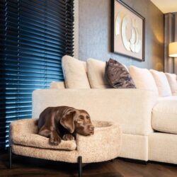 Hondenbed Dolly sheep natural