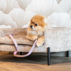 Hondenbed Dolly sheep natural