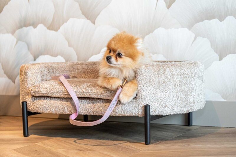 Hondenbed Dolly sheep natural