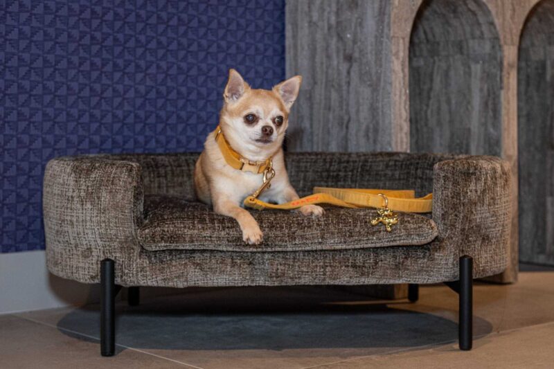 Hondenbed Dolly, luxe en comfortabel voor jouw huisdier