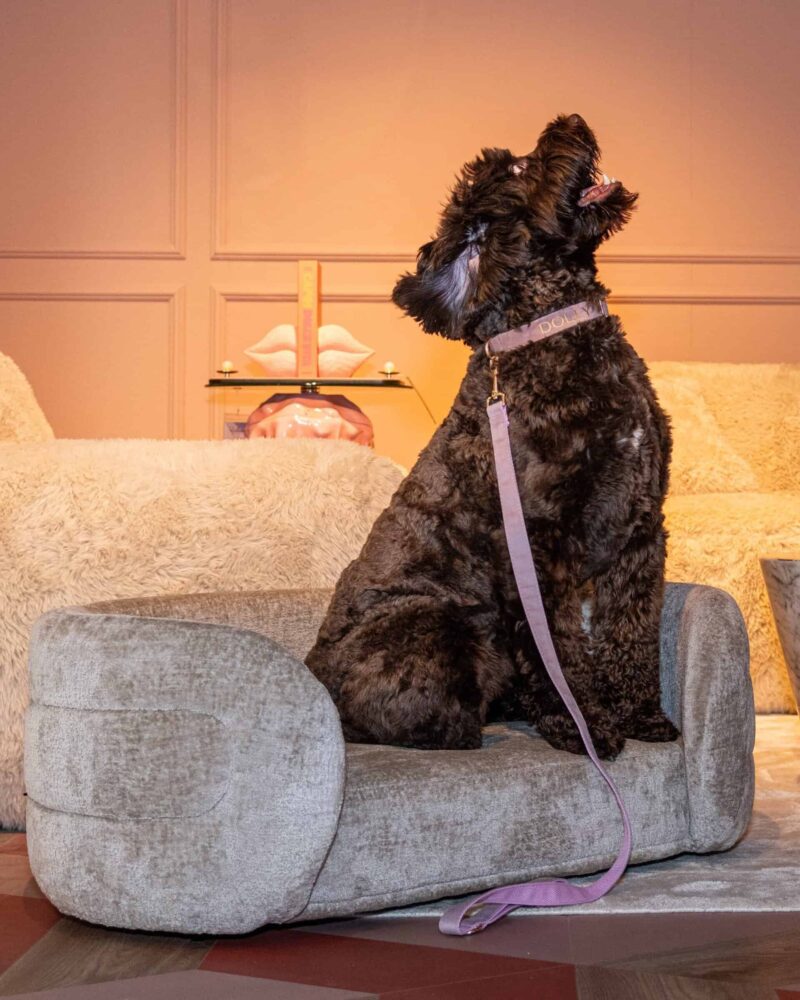 Hondenbed Bingo clay chenille in een andere kleur, Taupe Chenille