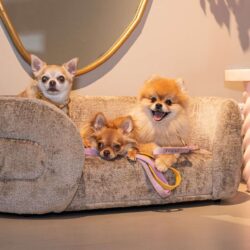 Hondenbed Bingo taupe chenille