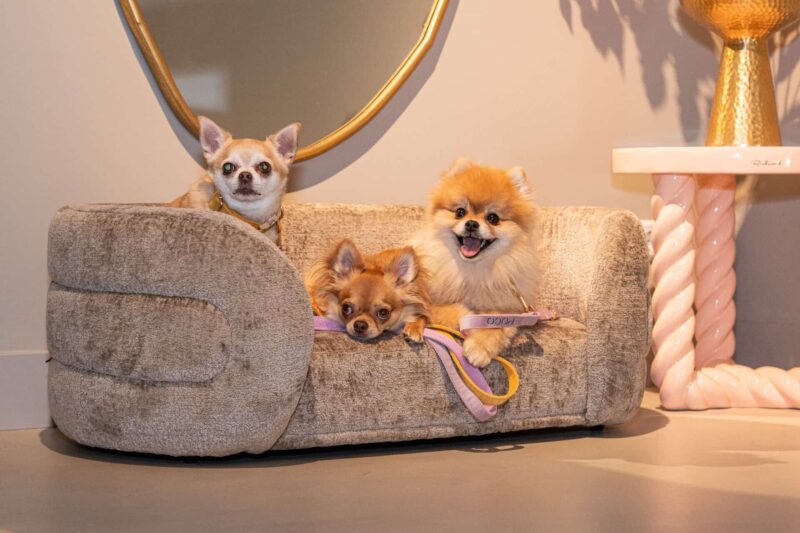 Hondenbed Bingo taupe chenille