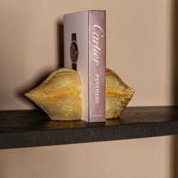 Boekenstandaards Kiss gold gold