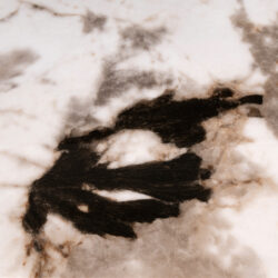 Perspectief Langford eettafel, breedte 230 cm, diepte 110 cm