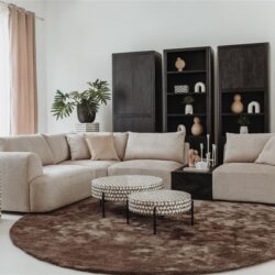 Zwart houten boekenkasten en beige hoekbank in een modern woonkamer met decoratieve accessoires en een ronde bruine vloerkleed.