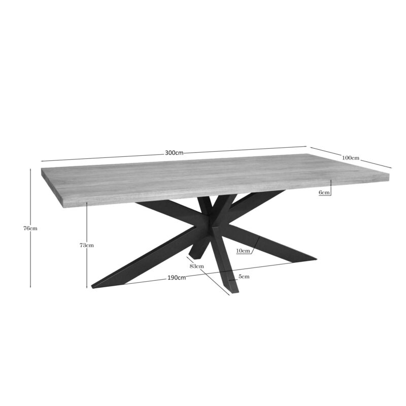 Eettafel Dakota | 300 cm | Rechthoek