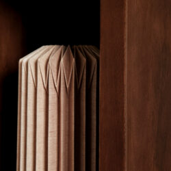 Textuur van de boekenkast Brussel Brown, mangohout, bruine finish