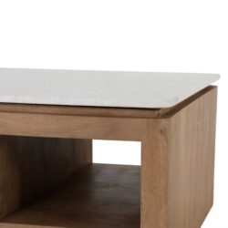 Vierkante Salontafel Dallas Naturel Mangohout 80 cm