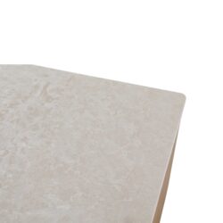 Vierkante Salontafel Dallas Naturel Mangohout 80 cm