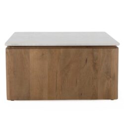 Vierkante Salontafel Dallas Naturel Mangohout 80 cm