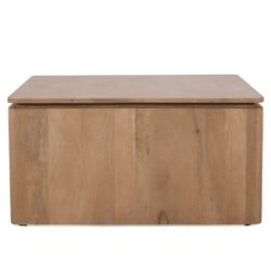 Vierkante Salontafel Dallas Naturel Mangohout 80 cm