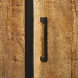 Boekenkast Oakland met deur Zwart Mangohout 50 cm