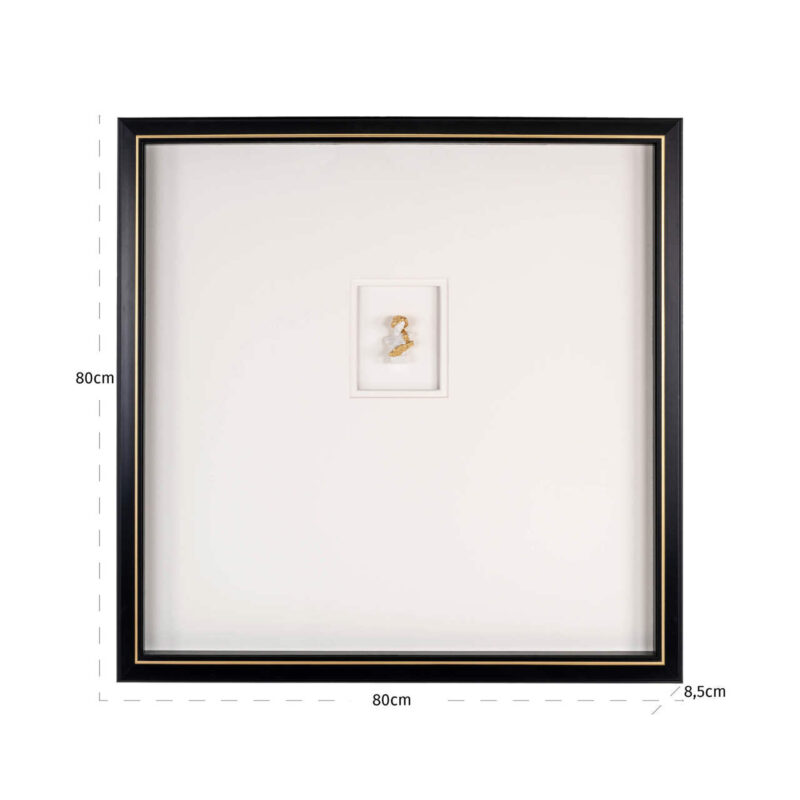 Moderne zwart-wit muurkunst met Danni-beeld in lijst, perfect voor stijlvolle interieurdecoratie.