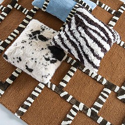 Decoratief tapijt met zebra- en dierenprint, inclusief kussens in blauw en zwart-wit, perfect voor een speelse en stijlvolle woonkamer.