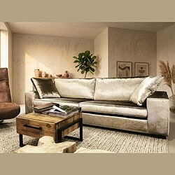 Elegante zilveren fluwelen bank in een modern woonkamer met natuurlijke decoratie en minimalistische kunstwerken, perfect voor stijlvolle en comfortabele woonruimtes.