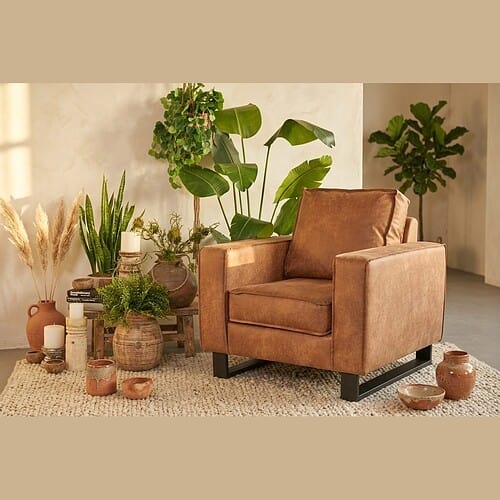 Luxe houten fauteuil in een stijlvolle woonkamer, omringd door groene planten en decoratieve potten, perfect voor een moderne en gezellige interieurstijl.