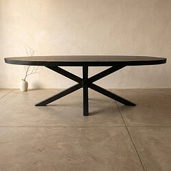 Moderne zwarte eettafel met strakke lijnen en houten afwerking, geschikt voor een eigentijdse eetkamer of vergaderruimte. Perfect voor stijlvolle en functionele interieurinrichting.