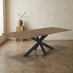 Moderne eettafel met houten blad en zwart metalen onderstel, perfect voor een eigentijdse eetkamer of kantoorruimte. Duurzaam en stijlvol meubel van Mokana Meubelen.