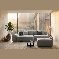 Moderne grijze loungebank in een strakke, minimalistische woonkamer met grote ramen, natuurlijke lichtinval en decoratieve planten voor een stijlvolle en comfortabele zithoek.