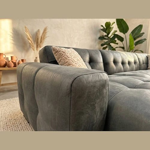 Luxe leren bank in een stijlvolle woonkamer met zachte kussens en natuurlijke decoraties, perfect voor een moderne en comfortabele leefruimte.